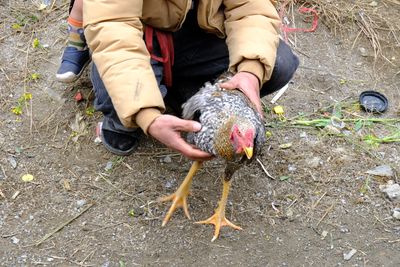 DSCF2252.JPG