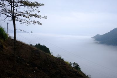 DSCF2383.JPG
