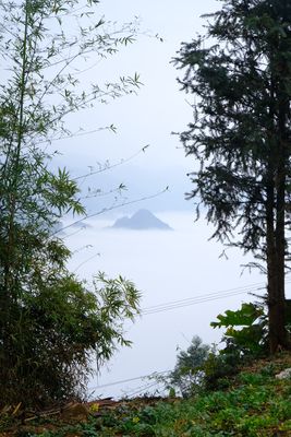 DSCF2386.JPG