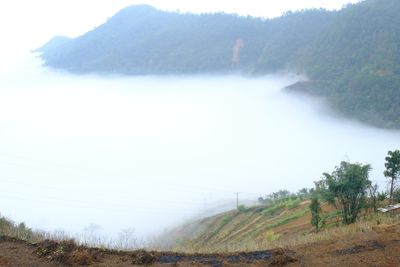 Way Above The Clouds (DSCF2390.JPG)