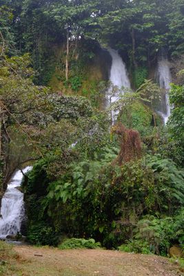 DSCF2430.JPG