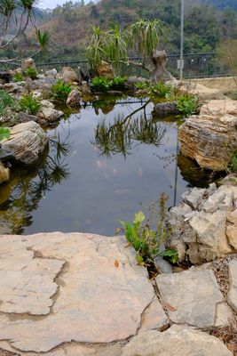 DSCF2453.JPG