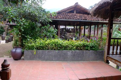 DSCF2464.JPG
