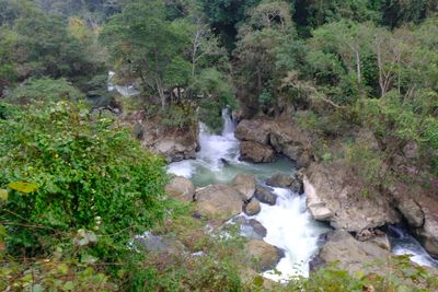 DSCF2493.JPG