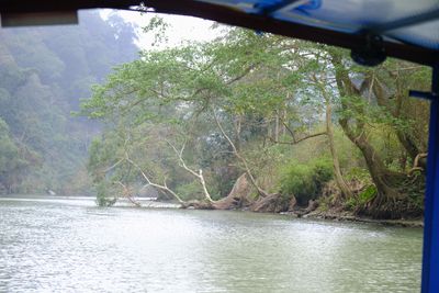 DSCF2517.JPG