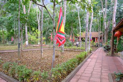 DSCF2531.JPG