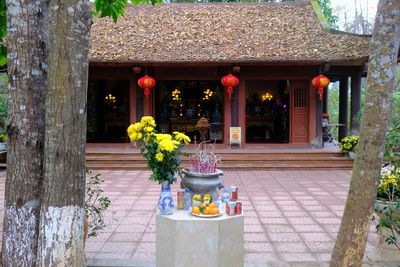 DSCF2533.JPG