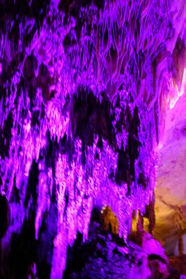 DSCF2560.JPG