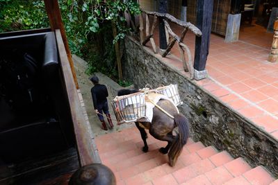 DSCF2562.JPG
