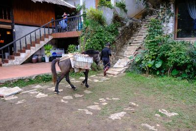 DSCF2568.JPG