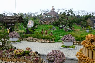DSCF2681.JPG