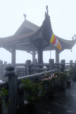 DSCF2712.JPG