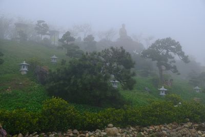 DSCF2750.JPG