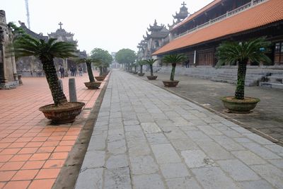 DSCF2575.JPG