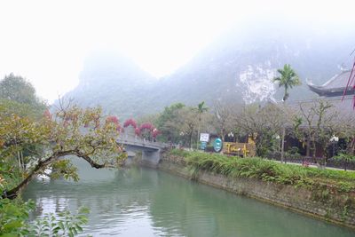 DSCF2594.JPG