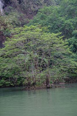 DSCF2646.JPG