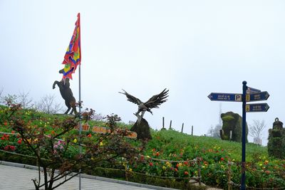 DSCF2666.JPG