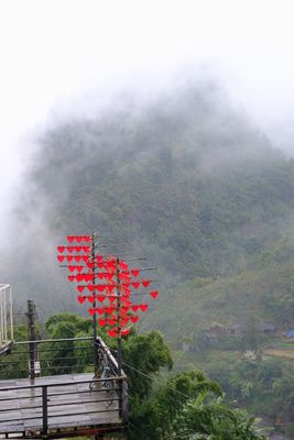 DSCF2772.JPG