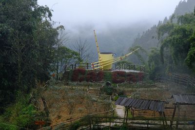 DSCF2775.JPG