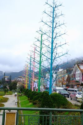 DSCF2808.JPG