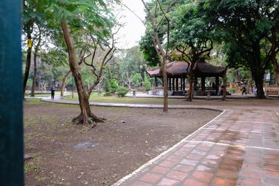 DSCF2858.JPG