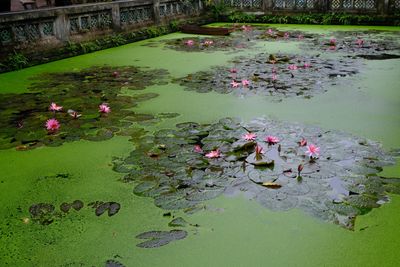 DSCF2881.JPG