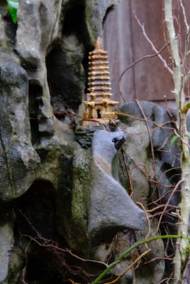 DSCF2883.JPG