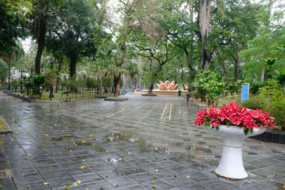 DSCF2891.JPG