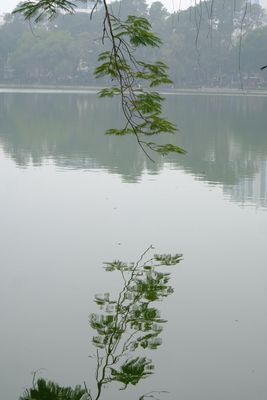 DSCF2994.JPG