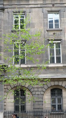 DSCF3081.JPG