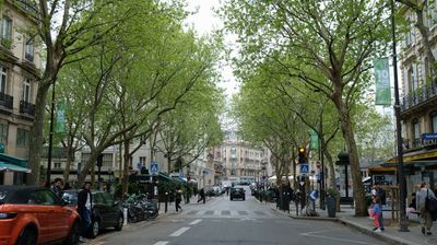 DSCF3086.JPG