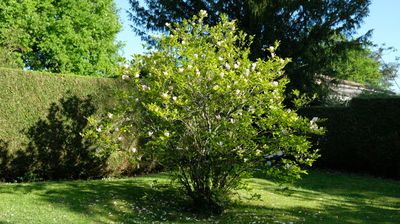 DSCF3191.JPG