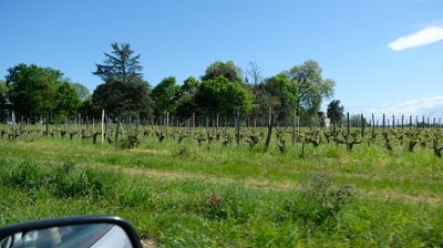 DSCF3194.JPG