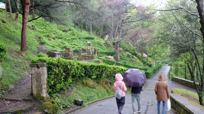 DSCF3429.JPG