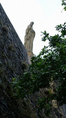 DSCF3442.JPG