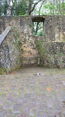 DSCF3465.JPG