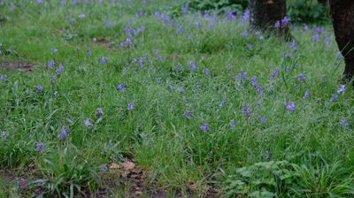 DSCF3469.JPG