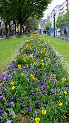 DSCF3480.JPG