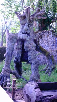 DSCF3562.JPG