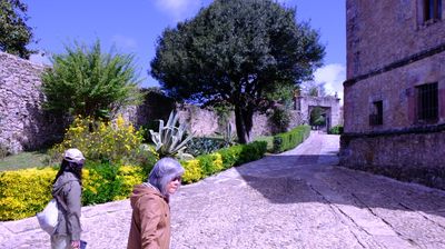 DSCF3568.JPG