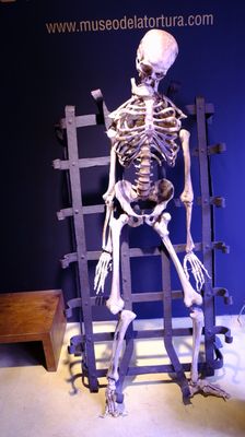 DSCF3579.JPG