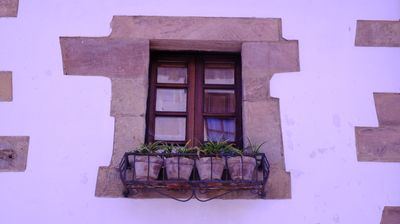 DSCF3591.JPG