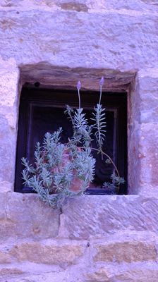 DSCF3595.JPG