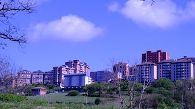 DSCF3613.JPG