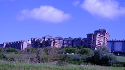 DSCF3615.JPG