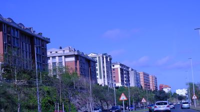 DSCF3616.JPG
