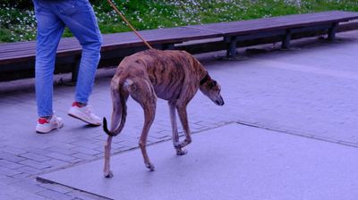 DSCF3695.JPG