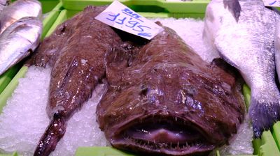 DSCF3712.JPG