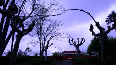 DSCF3724.JPG