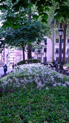 DSCF3755.JPG